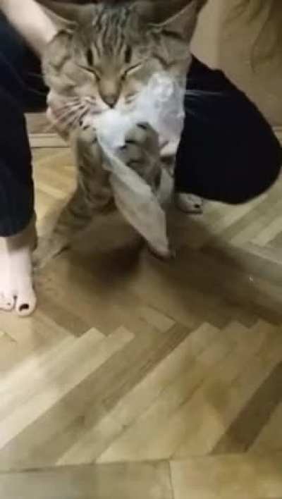 картошечка