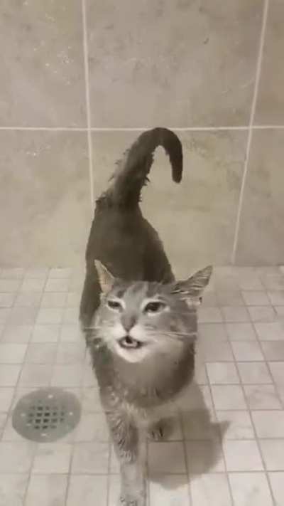 Are you sure you're a cat?