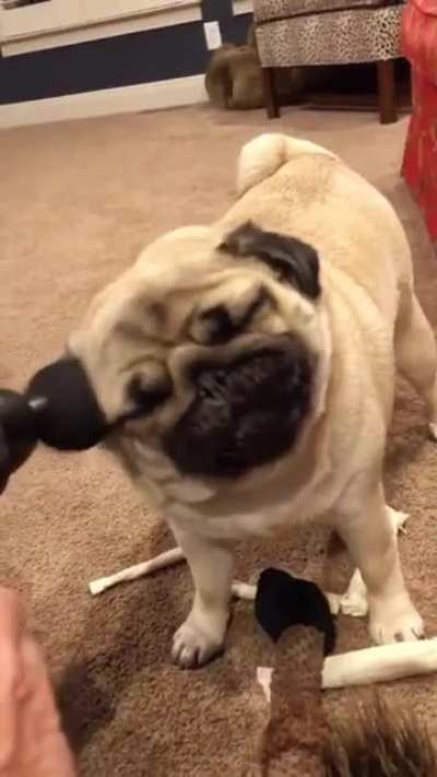 He&rsquo;s enjoying it