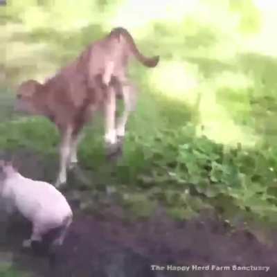 Best friends weirding out