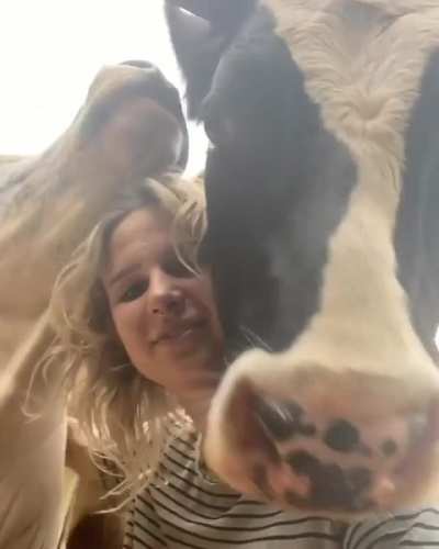 "Are You Doing A Video? I Want To Be In It Too!"