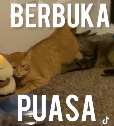 Selamat berbuka semua ☺️☺️