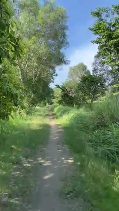A minute of peace from Tampines to Pasir Ris this afternoon. Glad to have gems like this still lingering amongst our mini urban metropolis. I present to you: Tampines Eco Green.