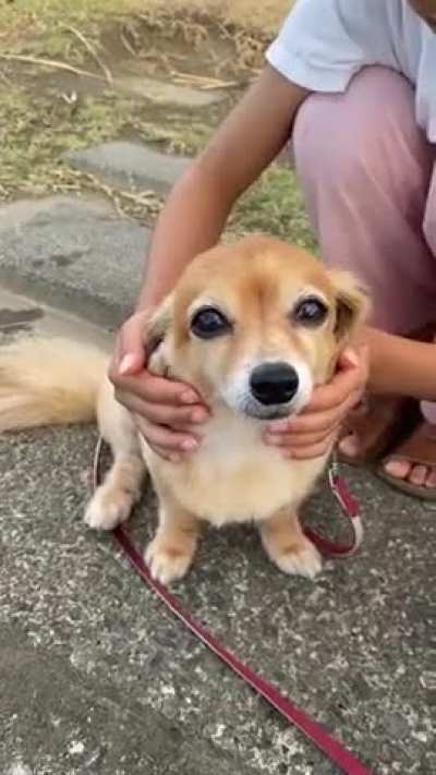 He&rsquo;s all ears