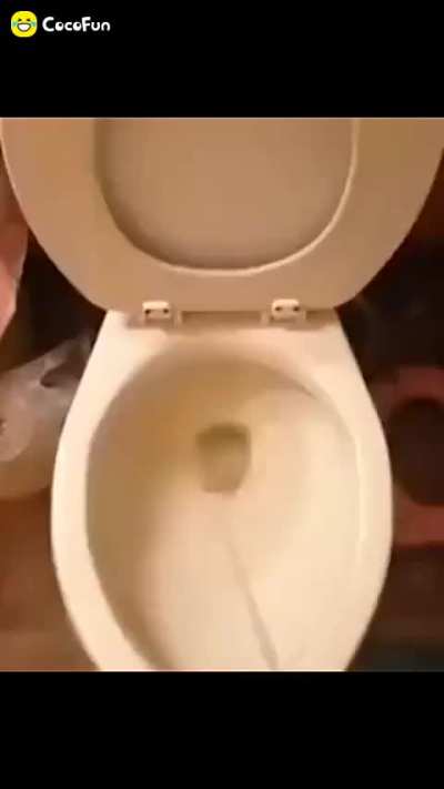 💀
