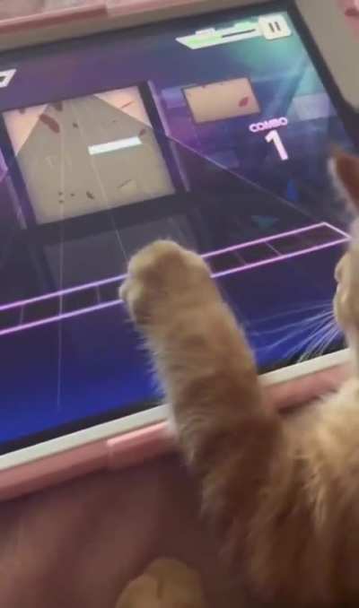 Gamer Wunk