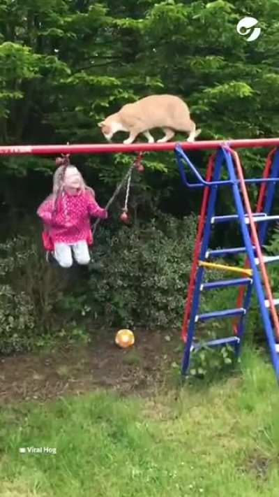 Equilibrist