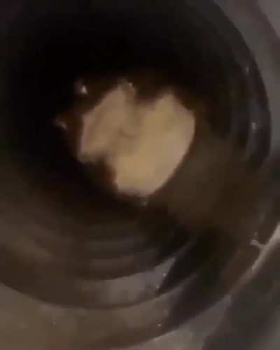 Does anyone know the name of this song?