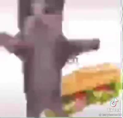 Borgor
