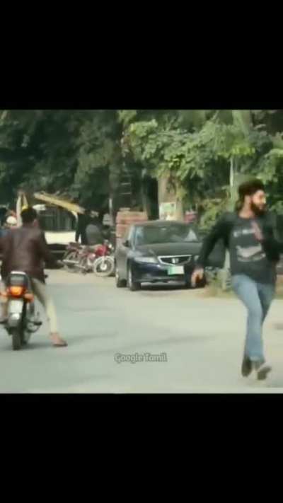 Survival Instincts