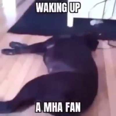 funni