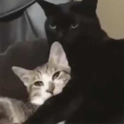 relationship goals