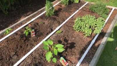 Finally finished my irrigation system