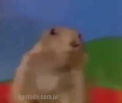 O MOTIVO DO CORONGA V&Iacute;RUS