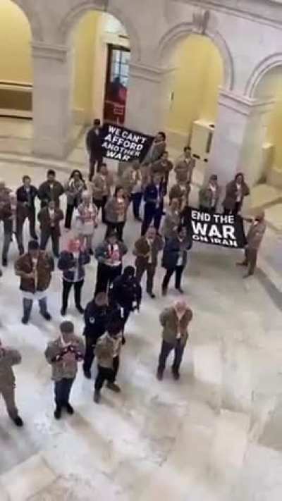 US military veterans arrested by Capitol police for protesting Iran war
