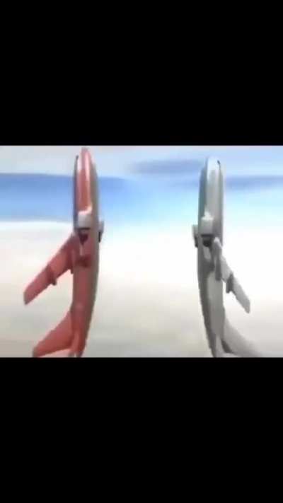 Homo planes 