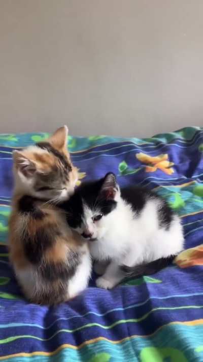 she s taking good care of her lil bro