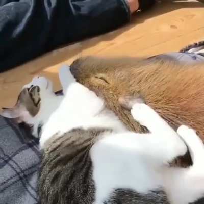 💕
