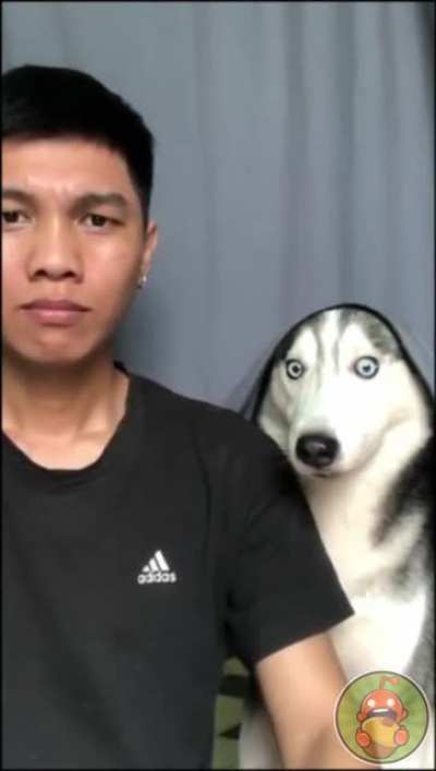 Колдун ебучий