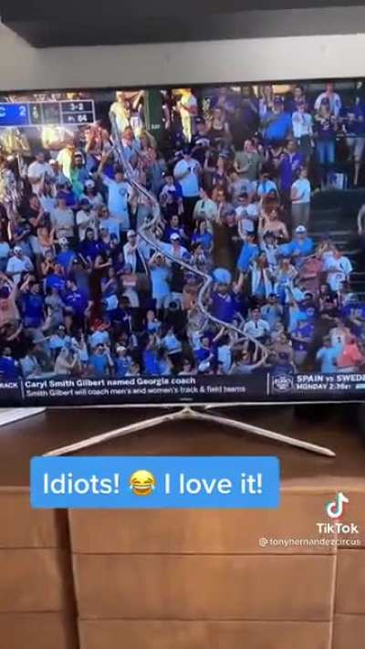 Idiots, i love it.