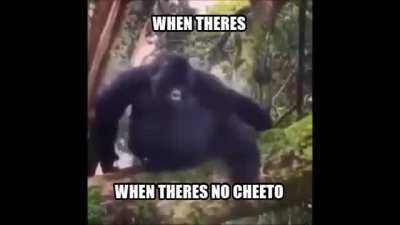 monke love cheeto