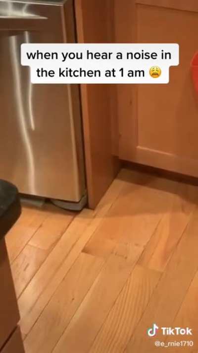 Cat dies inside
