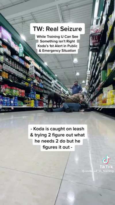 Seizure patient was recording a training session with her alert dog, has real seizure, dog performs tasks.