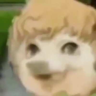Chie true form