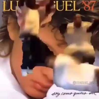 Temazo