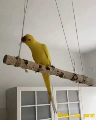 i love string
