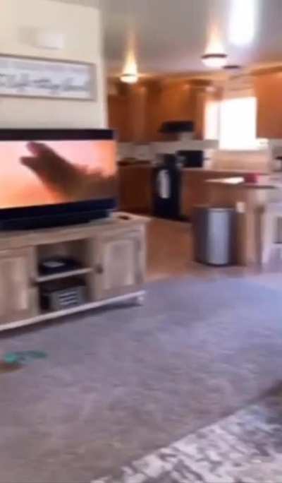 Enjoy your movie