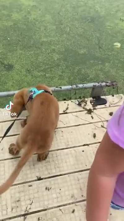 it wasn&rsquo;t the dock that fell