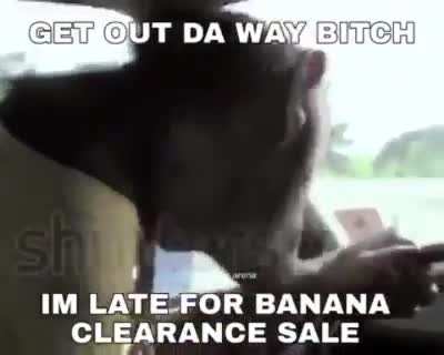 monke