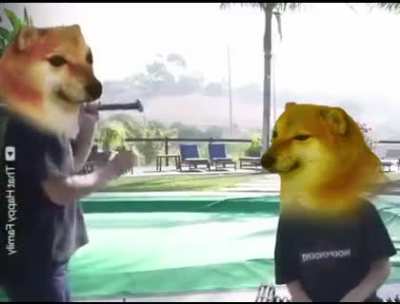 Yes