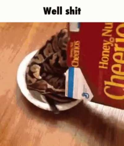 Shit