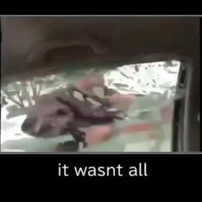 it wasn't