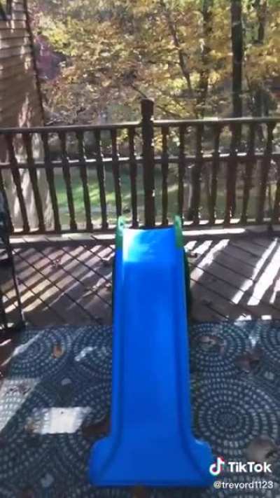 Expert Hider (Not OC)