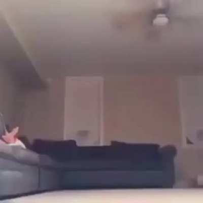 gen z humour, if charmx watches this imma go have a mental breakdown