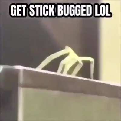 Lol