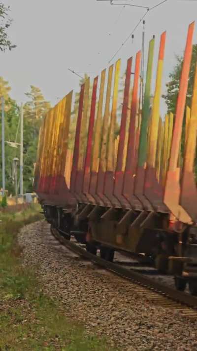 Empty timber wagons in motion. T&Aring;GAB keeping the rails alive