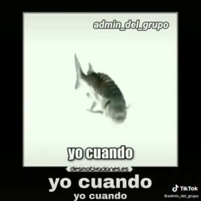 Yo Cuando