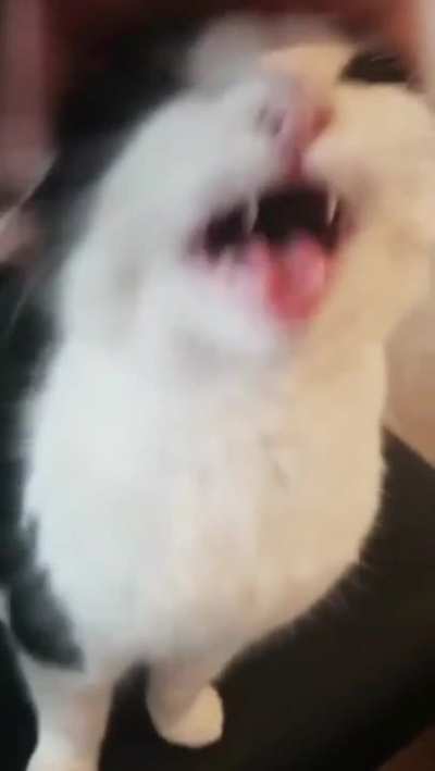 Wii Yell
