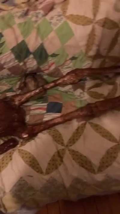 cursed_ L̷o̷o̷k̸ ̶a̵t̸ ̸h̷o̷w̴ ̴c̵u̶t̵e̸ ̴h̵e̶ ̷l̸o̴o̷k̸s̵ ̶w̷h̵i̴l̸e̴ ̶h̵e̷’̴s̴ ̸s̴l̴e̸e̴p̷i̶n̷g̷