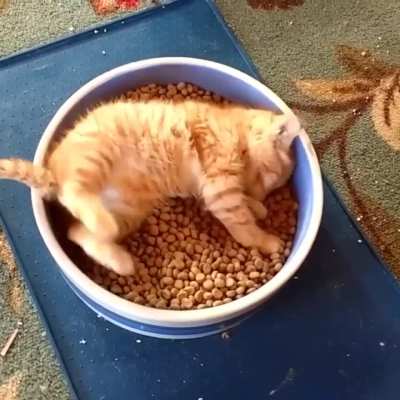 Bed and breakfast