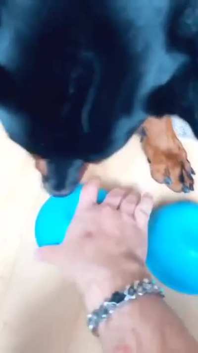 Maybe Maybe Maybe