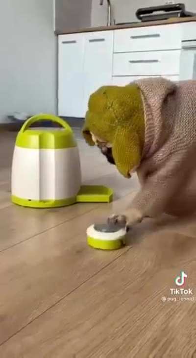 More please!