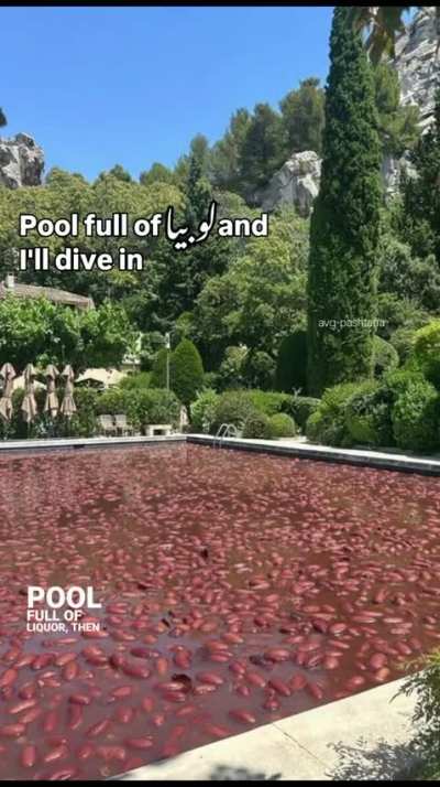 Red 🫘🫘🫘 Lobia &amp;gt;&amp;gt;&amp;gt;&amp;gt; 🥀🥀🥀