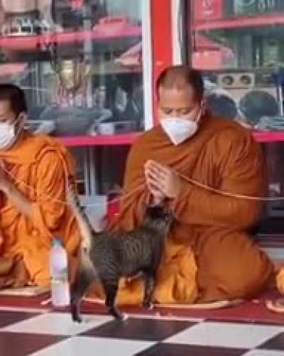 Pets now, pray later.