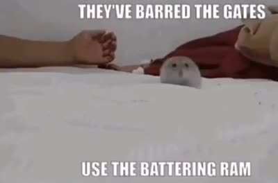 Open up