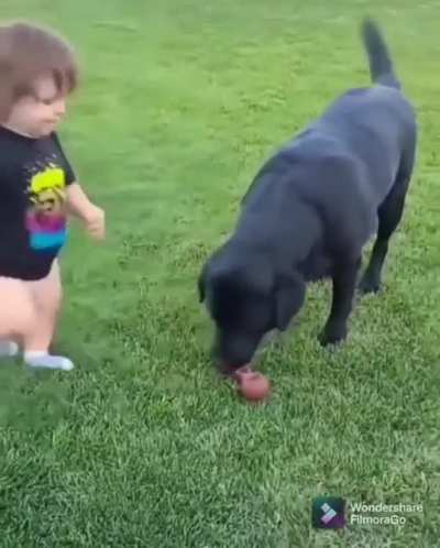 Playing fetch